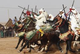 Image du Maroc Professionnelle de  Course typiquement marocaine dite ''la Fantasia'' organisé dans un site désertique sur lequel la ville de Tan Tan a toujours accueilli la majorité des tribus et des grandes familles nomades du désert lors d'un grand moussem, Samedi 24 Mars 2012. (Photo / Abdeljalil Bounhar)

 